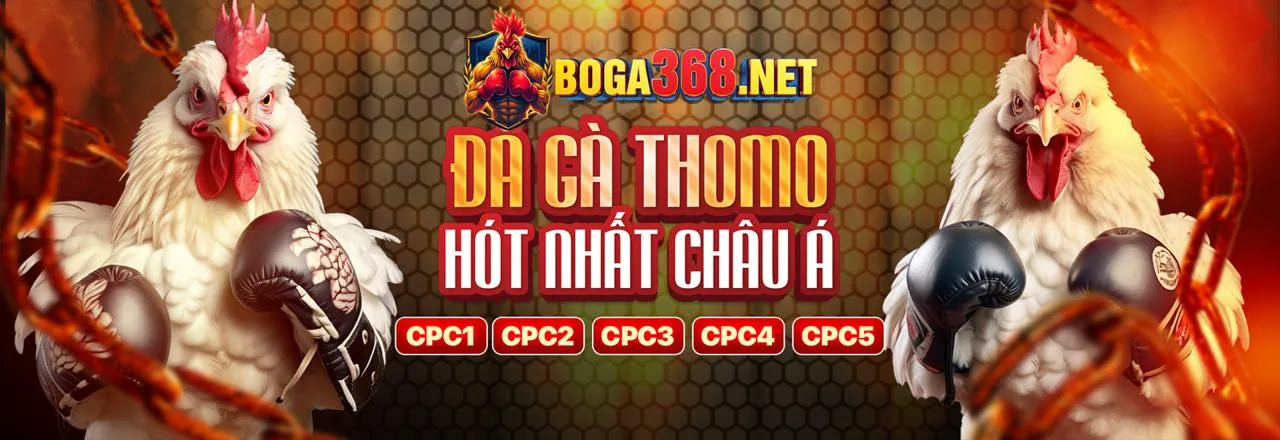Giao diện ứng dụng TK88 trên điện thoại